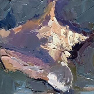 Seashell by Rana Geralis