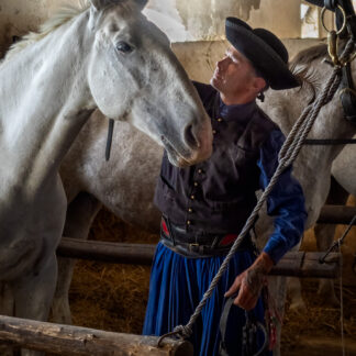 Respect by Wayne Guenther