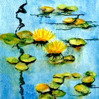 Lily Pond by Tara Hamilton