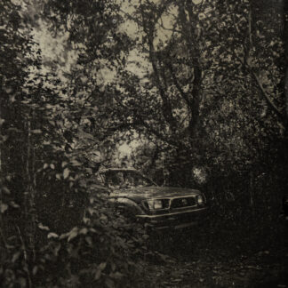 Truck in Forest by Matt Makara