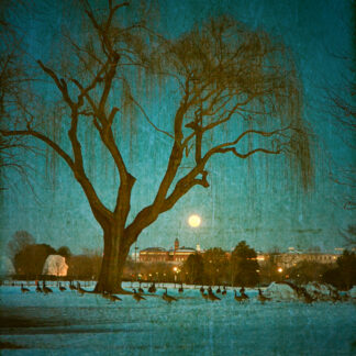 Winter Moonrise by Maureen Minehan