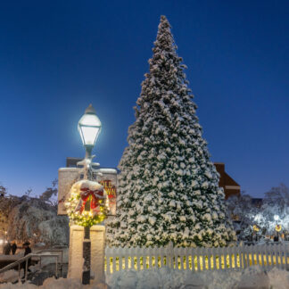 Old Town. Magic by Carol Stalun
