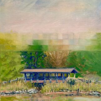 Veil over San Domingo Creek by Nancy Lorentz