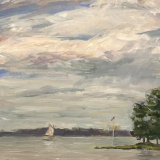 Selina's Last Sail by Nancy Lorentz
