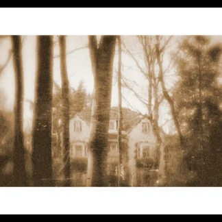 Tregaron by Maureen Minehan
