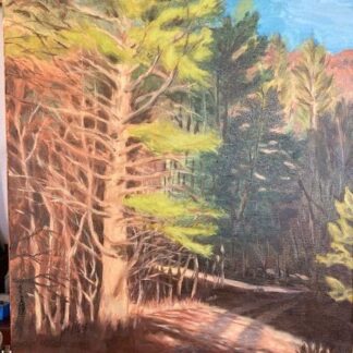 McDonald Trail - Bath Co by Thomas Macia