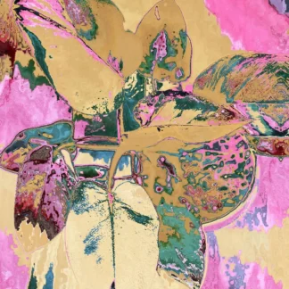 Photosynthesis Interrupted by Michal Mahgerefteh