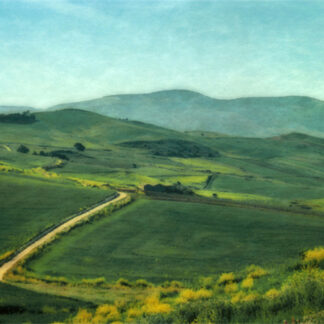 Sicilian Spring I by Jane Mann