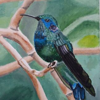 Living Jewel by Russ Mardon