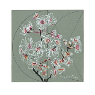 Perky Blossoms by Elizabeth Matthews