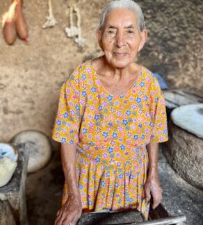 The Grandmother by Dian McDonald