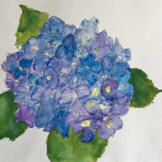 Blue Hydrangea by Dale McGrath