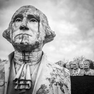 Head Above the Rest by Suzanne McIntire