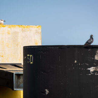 Awaiting the Ferry, Lewes, Delaware by Suzanne McIntire