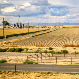 After the Wheaties Harvest, September by Suzanne McIntire