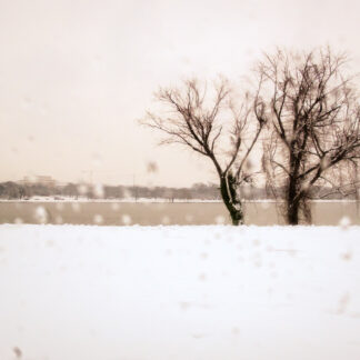 Snowstorm, Potomac River by Suzanne McIntire