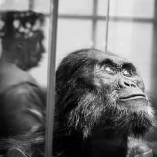 This Shift is Nearly Over by Suzanne McIntire