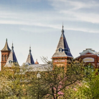 Smithsonian: The Castle Stronghold by Suzanne McIntire