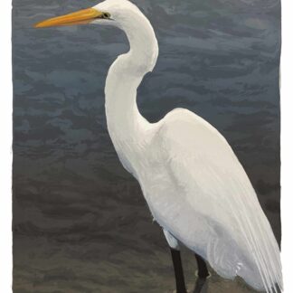 Magnificent Wader by Nancy McIntyre