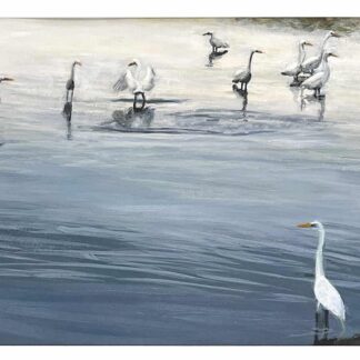 Egret Lineup by Nancy McIntyre