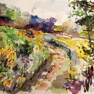 hike the ice age trail by Jeanne McIntyre