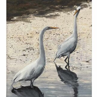 Pair of Egrets by Nancy McIntyre