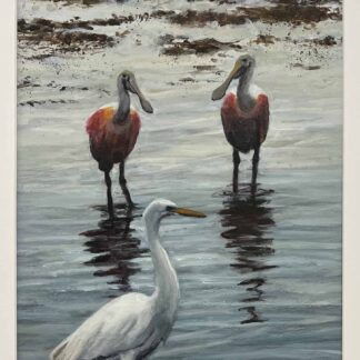 Spoonbill Gossips by Nancy McIntyre