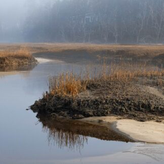 Meandering Pamet by Meg Clarke