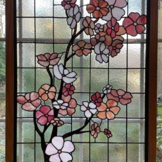 Cherry Blossoms by Ryan Michela