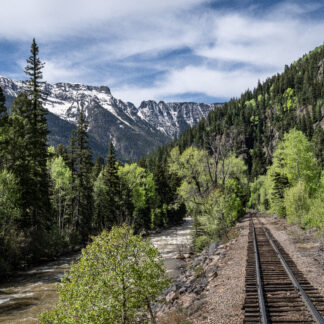View from the Train by Julie Miller