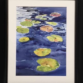 Water Lilies From My Kayak by Virginia Miller