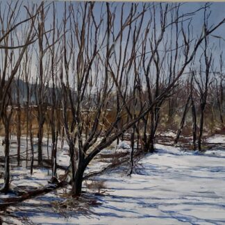 Parallel Snow Shadows by Samuel C. Miller