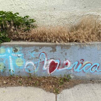 I Love America by Maureen Minehan