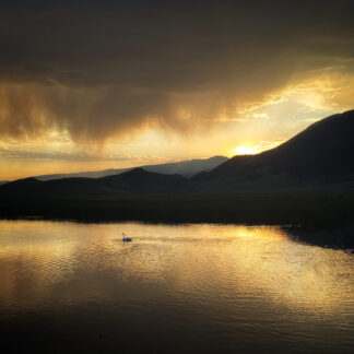 Early Mountain Light by Maureen Minehan