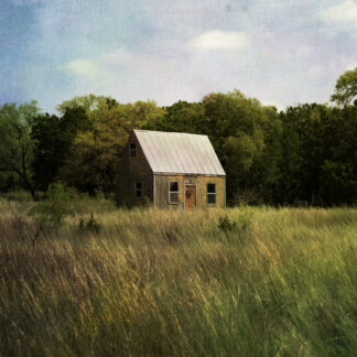 Texas by Maureen Minehan