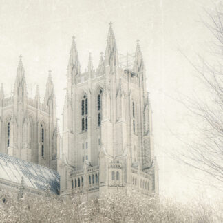 National Cathedral by Maureen Minehan