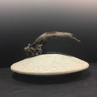 Seagull's Nest by Christine Moerenhout-Hubloue
