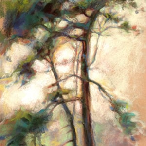 "Monterey Pine" by Nancy Freeman