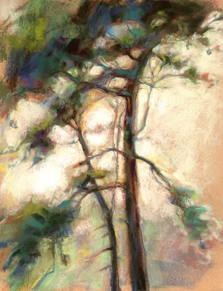 "Monterey Pine" by Nancy Freeman