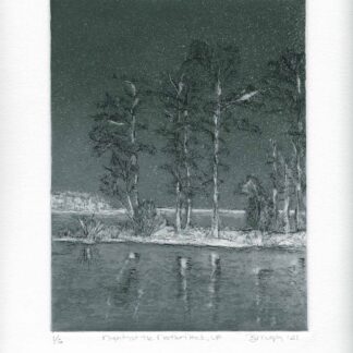 Night at the Northern Neck by Bridget Murphy