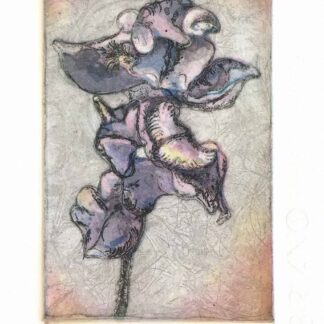 Iris in Color by Bridget Murphy