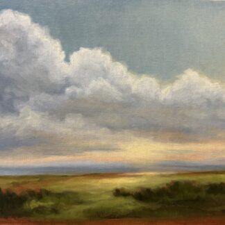 Morning Light by Sonia Nayar