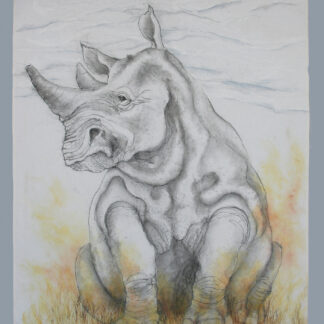 Northern White Rhino by Holly Cole