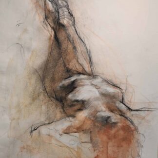 Transposition by Susan O'Neill