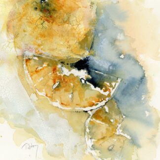Orange and Slices by Alex Tolstoy