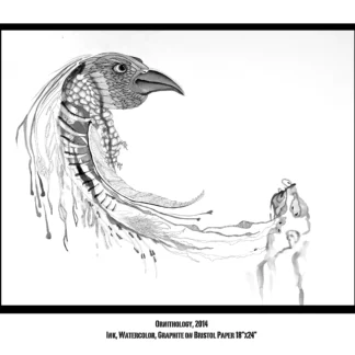 Ornithology by Katie Runnerstrom