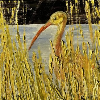 Ibis in the Marsh by George Overhiser Jr.