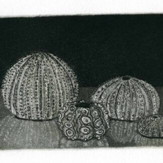 Etching and Intaglio Techniques