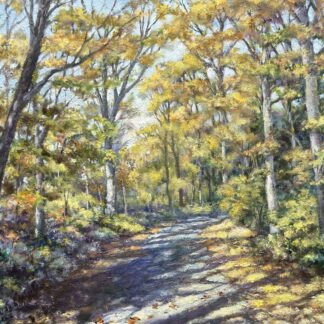 A Road Through the Woods by Sally Parker