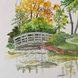 North Carolina Arboretum by Carole Parnes